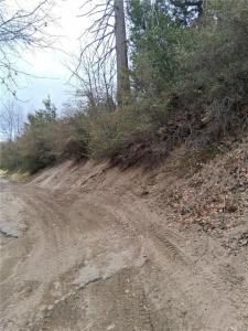0 Pine Dr, Cedar Glen, Californie 92321, États-Unis