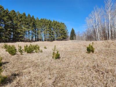 Xxx Goldfinch Circle NE, Miltona, Minnesota 56354, HOA KỲ