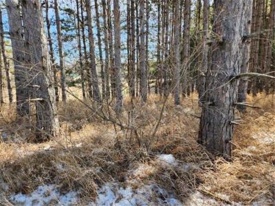 Xxx Goldfinch Circle NE, Miltona, Minnesota 56354, HOA KỲ