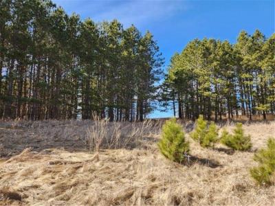Xxx Goldfinch Circle NE, Miltona, Minnesota 56354, HOA KỲ