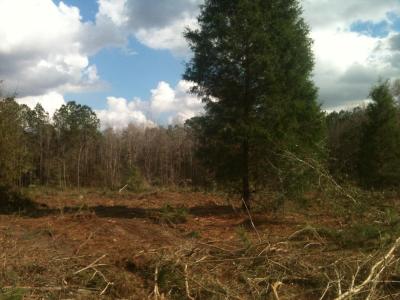 35 Canopy Oak Boulevard, Bonifay, Florida 32425