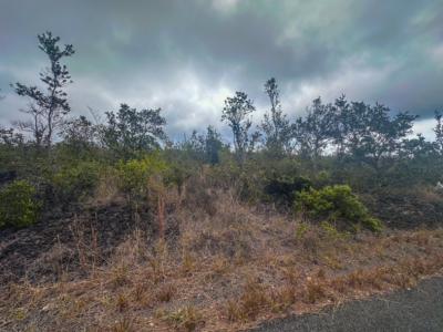 92-8710 Bamboo Lane, Ocean View, Wyspy Hawajskie 96737, USA