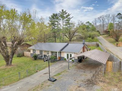 1277 Sunrise Drive, Newport, Tennessee 37821, HOA KỲ