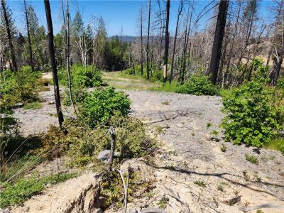 2175 Bald Rock Road, Berry Creek, California 95916