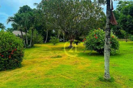 H-4502-I, Puerto Plata, Dominikanische Republik