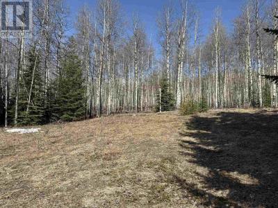 LOT 17 ASPEN RIDGE DRIVE, Hudsons Hope, British Columbia V0C 1V0, Canada
