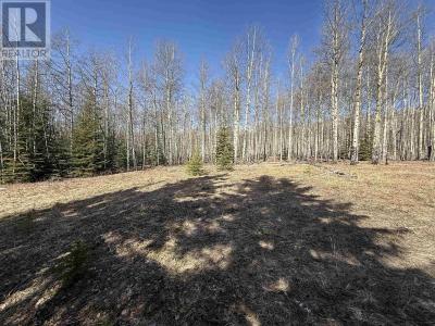 LOT 17 ASPEN RIDGE DRIVE, Hudsons Hope, British Columbia V0C 1V0, Canada