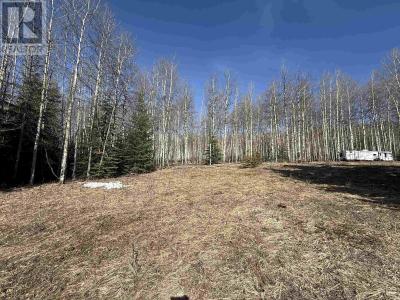 LOT 17 ASPEN RIDGE DRIVE, Hudsons Hope, British Columbia V0C 1V0, Canada