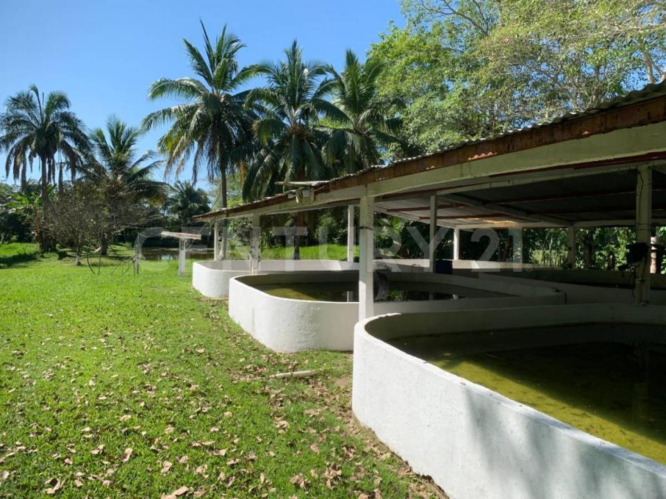 Carretera Federal Villahermosa a Macuspana S/N,, Jalapa, Tabasco 86830, Mexique