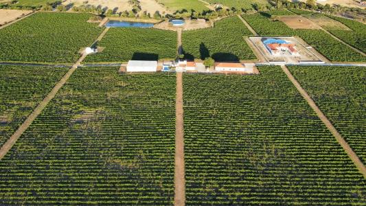 Redondo, Évora 7170-107, Portugal