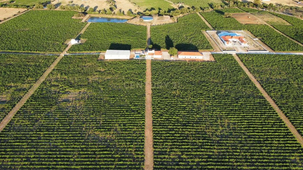 Redondo, Evora 7170-107, Portugal