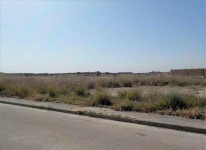 Toledo, Castilla-La Mancha 45240, ספרד