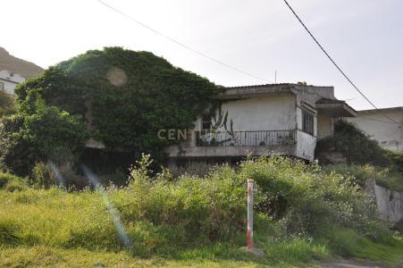 サンタ・クルス・デ・テネリフェ, Canarias 38280, スペイン