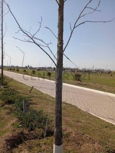 ECOTIERRA SUR LOTE 595, Pueblo Esther, Santa Fe 2126, Argentine