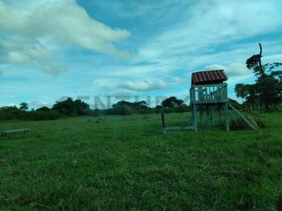 Zona Urb. Tierra Santa warnes 18, Norte, Santa Cruz 0000, 玻利維亞