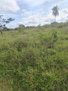 Zona Urb. Tierra Santa warnes 18, Norte, Santa Cruz 0000, 玻利維亞