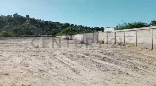 Cumaná, Sucre 6101, Venezuela