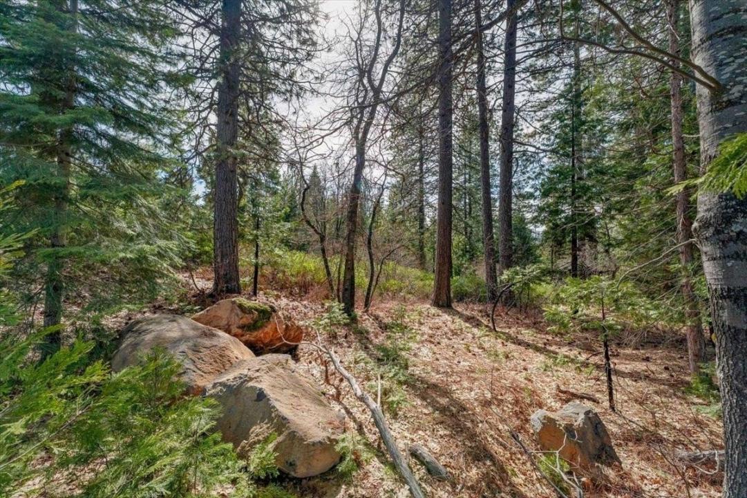 Lot 1 Cold Creek Circle, Mt Shasta, 加利福尼亚州 96067, 美国