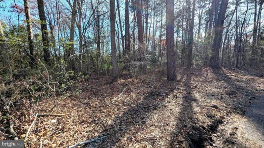 1 WOODLAND DRIVE, SEAFORD, Delaware 19973, Estados Unidos