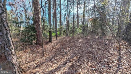 1 WOODLAND DRIVE, SEAFORD, Delaware 19973, Estados Unidos