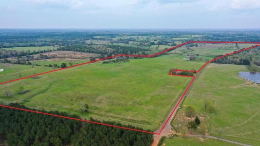 2111 County Road 4335, Bivins, Texas 75555, USA