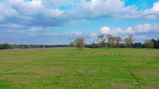 2111 County Road 4335, Bivins, Texas 75555, USA