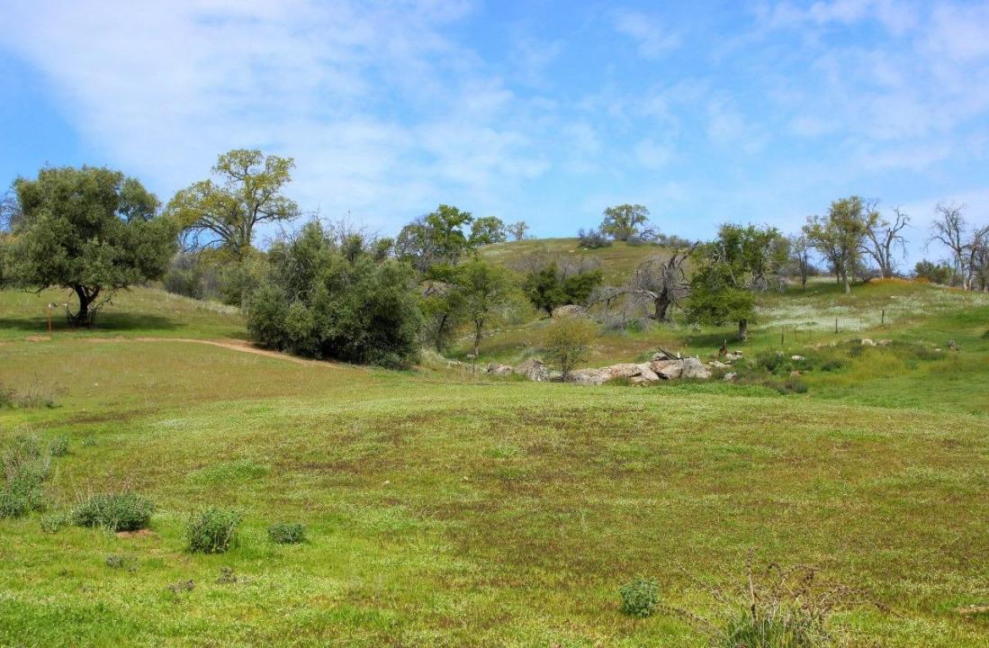 32604 Road 600, Raymond, كاليفورنيا 93653, الولايات المتحدة