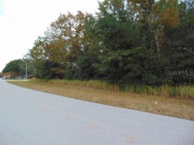 000 Water Rd, Ocala, Флорида 34472, Соединенные Штаты