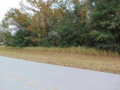000 Water Rd, Ocala, Флорида 34472, Соединенные Штаты