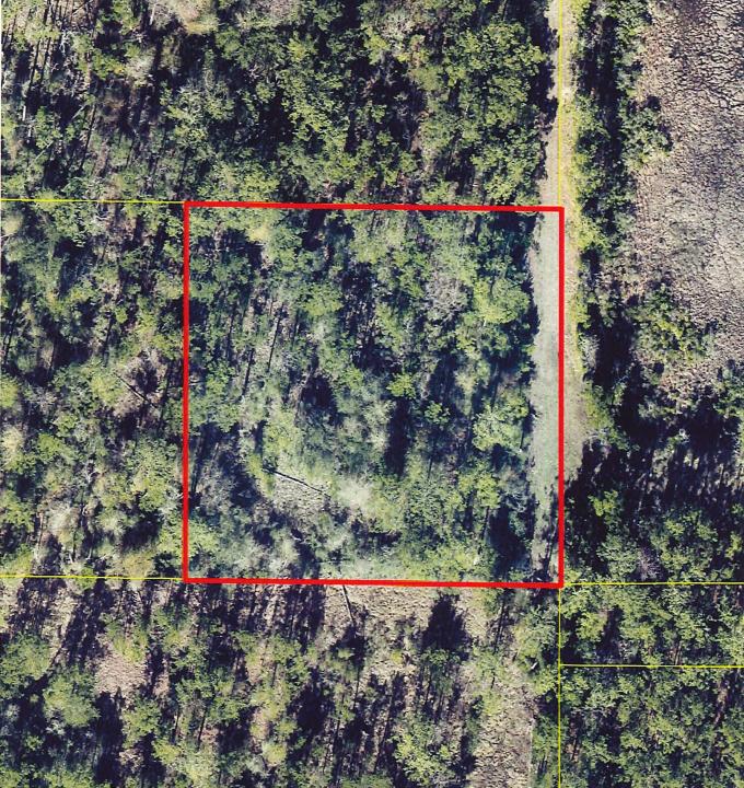 TBD Edgerly DeQuincy Rd., Vinton, Louisiana 70668, USA
