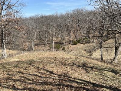 22918 Buck Creek Road, Greentop, Missouri 63546, USA