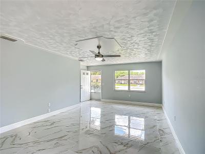 123 Shenandoah Avenue, Lady Lake, Florida 32159
