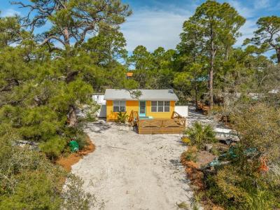 973 W Pine Ave, St. George Island, 佛羅里達州 32328, 美國