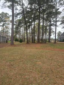 960 Southern Plantation Drive N Lot #219, Oriental, Caroline Du Nord 28571, États-Unis