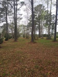 960 Southern Plantation Drive N Lot #219, Oriental, Caroline Du Nord 28571, États-Unis