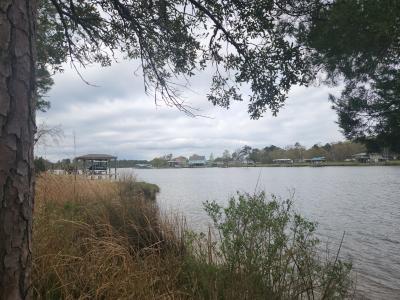 960 Southern Plantation Drive N Lot #219, Oriental, Caroline Du Nord 28571, États-Unis