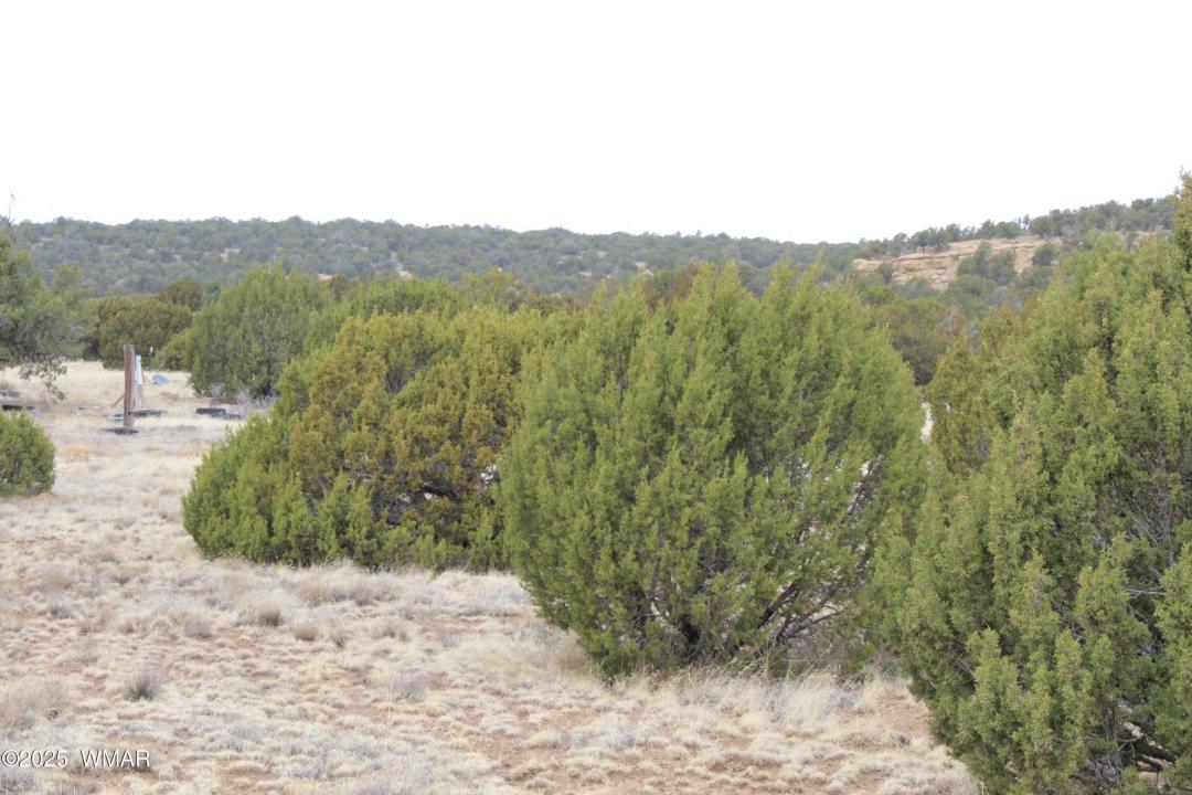 39 Co Rd 3034 , Concho, Arizona 85924, Estados Unidos