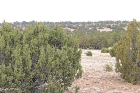39 Co Rd 3034 , Concho, Arizona 85924, Estados Unidos