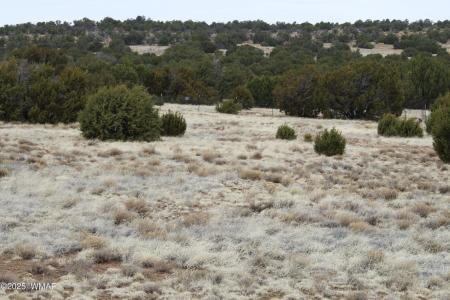 39 Co Rd 3034 , Concho, Arizona 85924, Estados Unidos