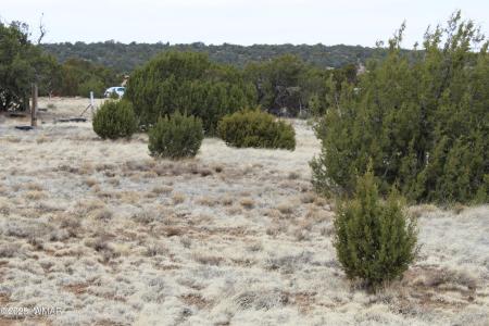 39 Co Rd 3034 , Concho, Arizona 85924, Estados Unidos