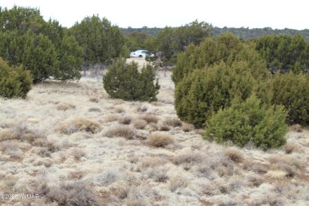 39 Co Rd 3034 , Concho, Arizona 85924, Estados Unidos