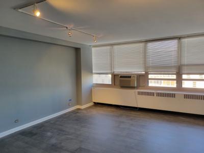 3950 N Lake Shore Dr Unit 2225, Chicago, Illinois 60613, Stati Uniti