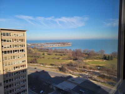 3950 N Lake Shore Dr Unit 2225, Chicago, Illinois 60613, Stati Uniti
