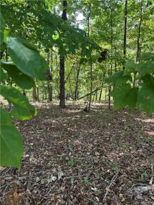 998 Blade Court, Ranger, Géorgie 30734, États-Unis