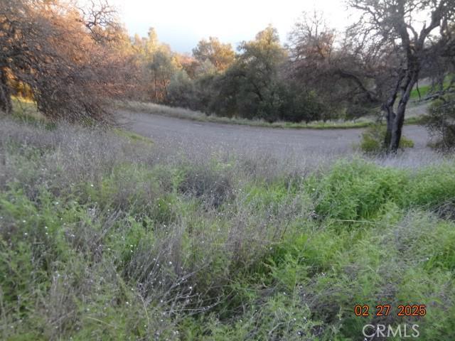 11860 Lakeview Drive, Clearlake Oaks, Califórnia 95423, Estados Unidos