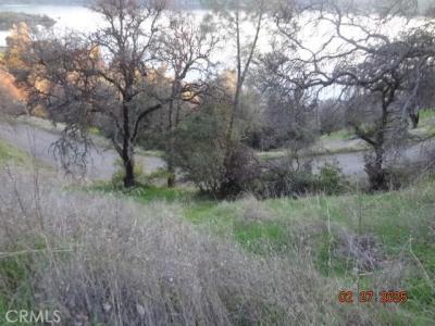 11860 Lakeview Drive, Clearlake Oaks, Califórnia 95423, Estados Unidos