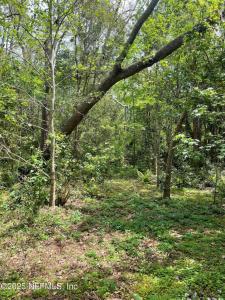 106 Bowfin Drive, Palatka, Florida 32177, USA