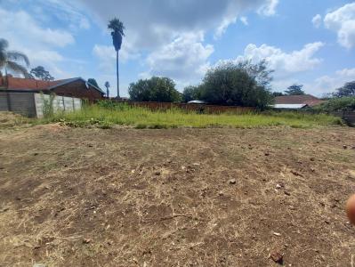 Springs, Gauteng, 南非