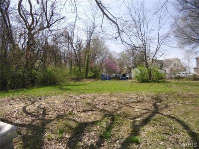 6 N 95th Street, Belleville, Illinois 62223