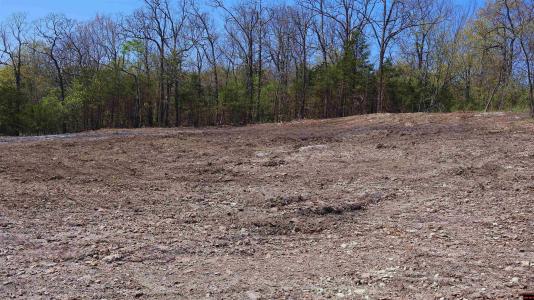 Lots 21 & 22 RIDGEWOOD DRIVE, Mountain Home, Arkansas 72653, Estados Unidos